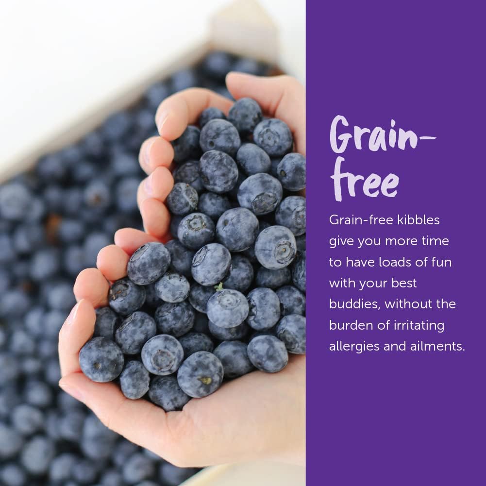 Loveabowl Grain-Free Chicken and Snow Crab Dry Cat Food 1kg