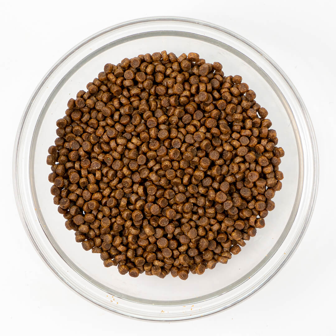 Loveabowl Grain-Free Herring Salmon and Atlantic Lobster Dry Cat Food 1kg