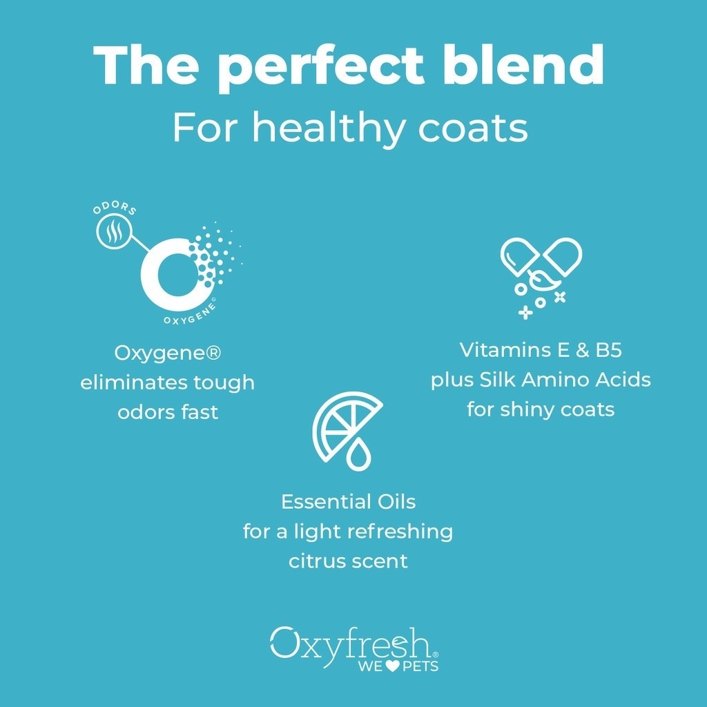 Oxyfresh Shiny Coat Anti-Itch Cats & Dogs Shampoo Gentle Formula Sensitive Skin 8oz / 237ml