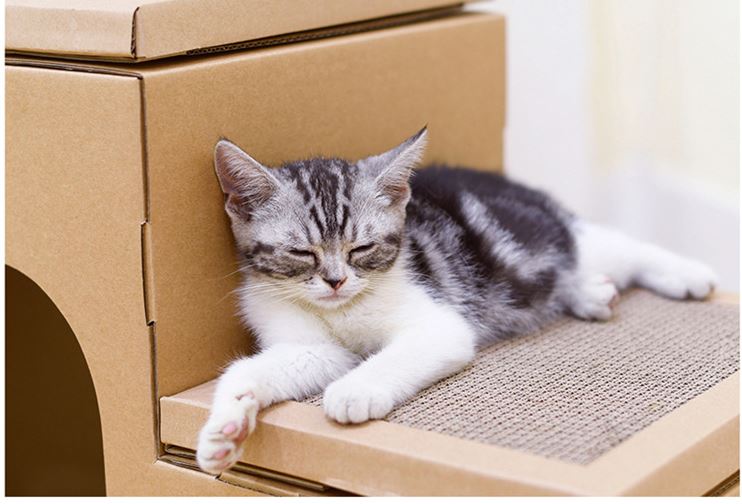 Cat Scratcher Cardboard Condo - Double House Scratching Post