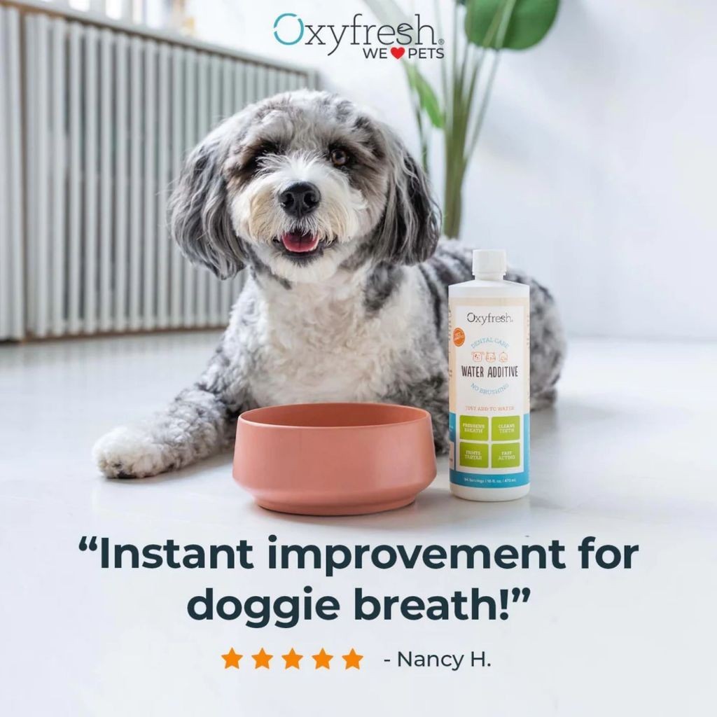 Oxyfresh Dental Water Additive Care for Cats and Dogs 3.4oz/100ml