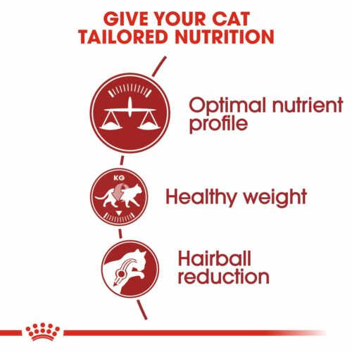 Royal Canin Regular Fit 32 4kg