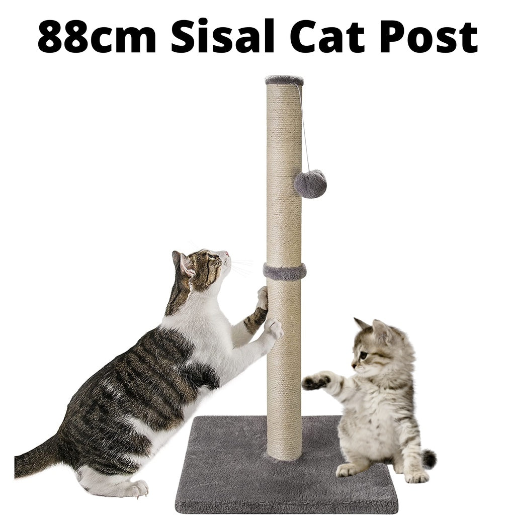88cm Tall Cat Scratching Post / Pole (Dark Grey)