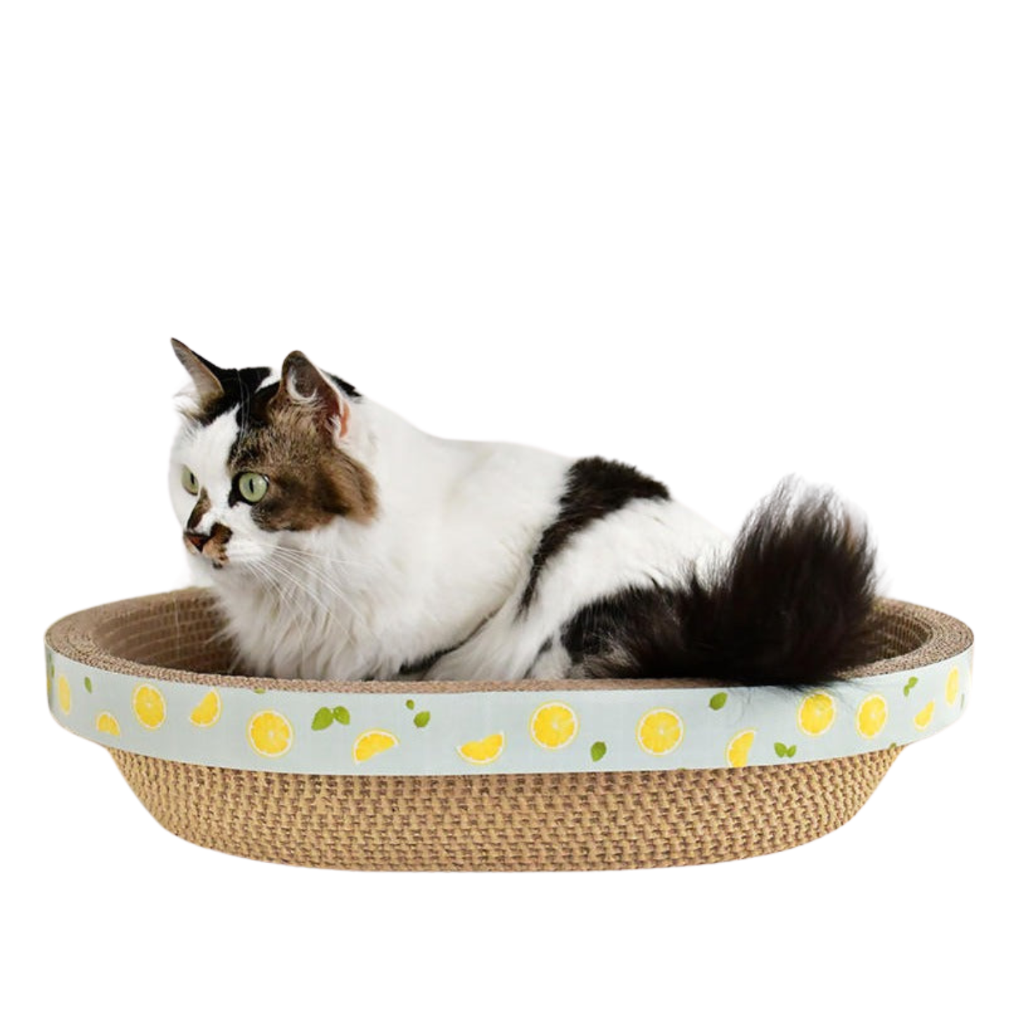 58cm Oval Shape Cat Scratching Board & Bowl Bed Pet Scratcher