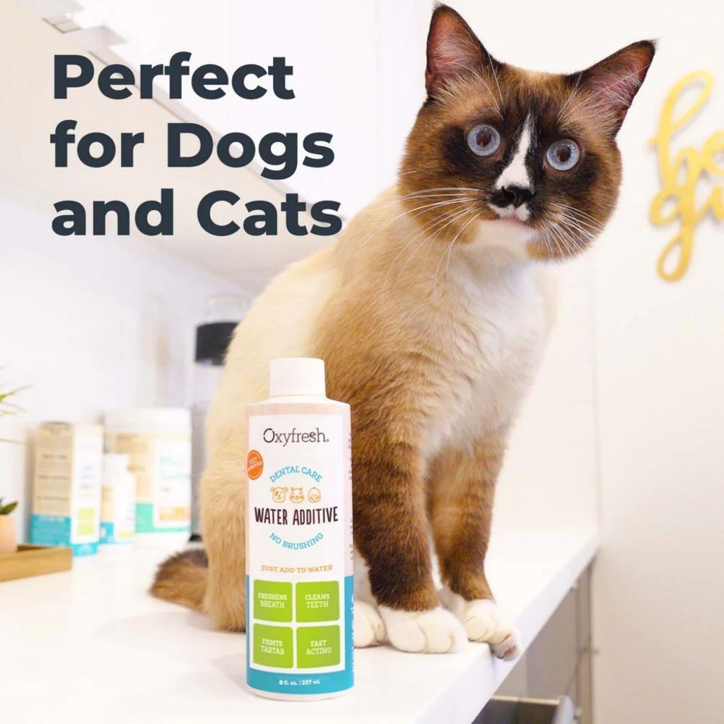 Oxyfresh Dental Water Additive Care for Cats and Dogs 3.4oz/100ml