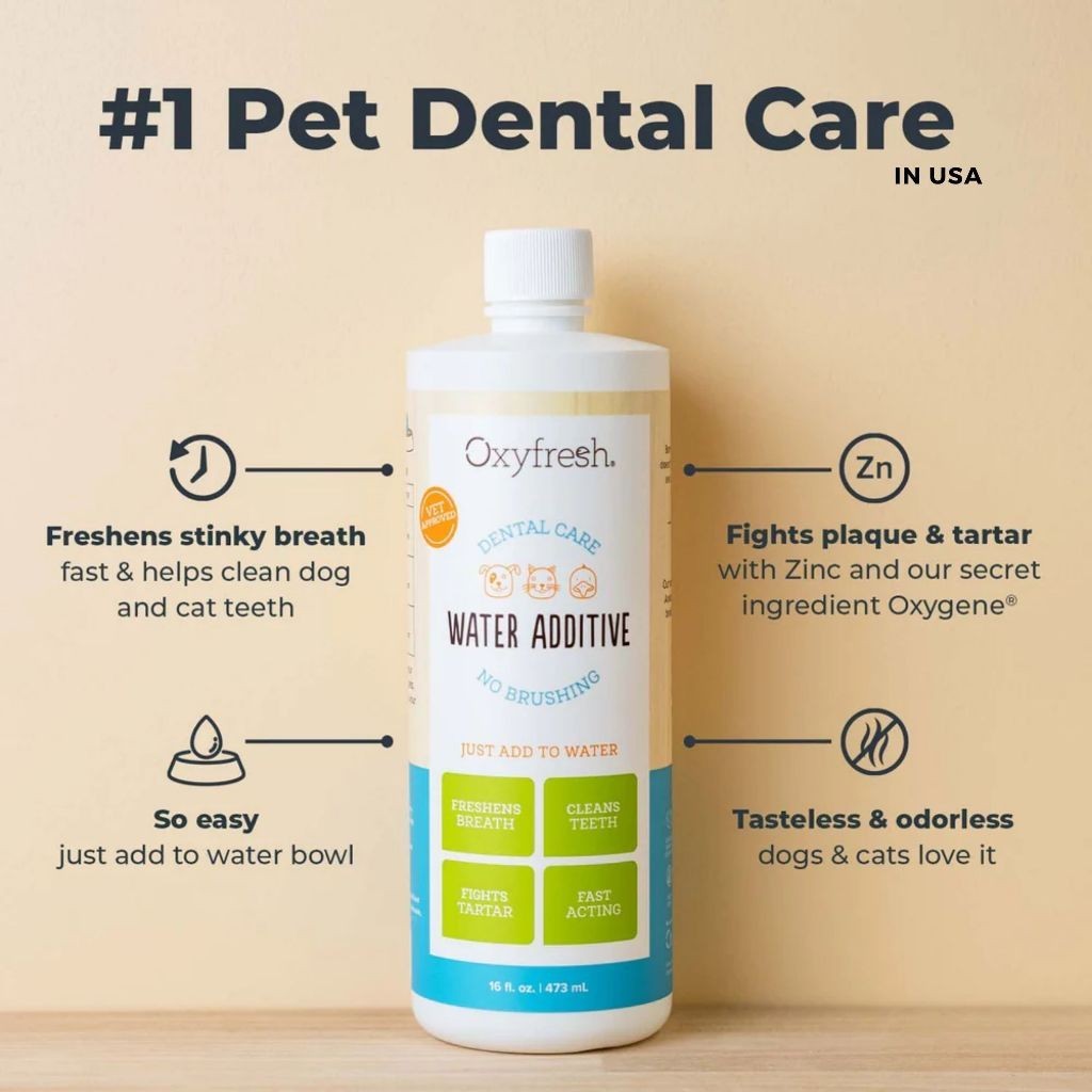 Oxyfresh Dental Water Additive Care for Cats and Dogs 3.4oz/100ml