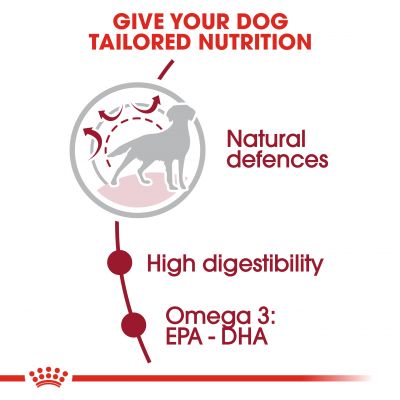 Royal Canin Medium Adult 10kg