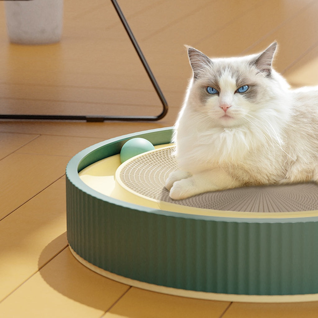 Interactive Cat Scratching Board with Ball & Scratch Bowl (White/XL)