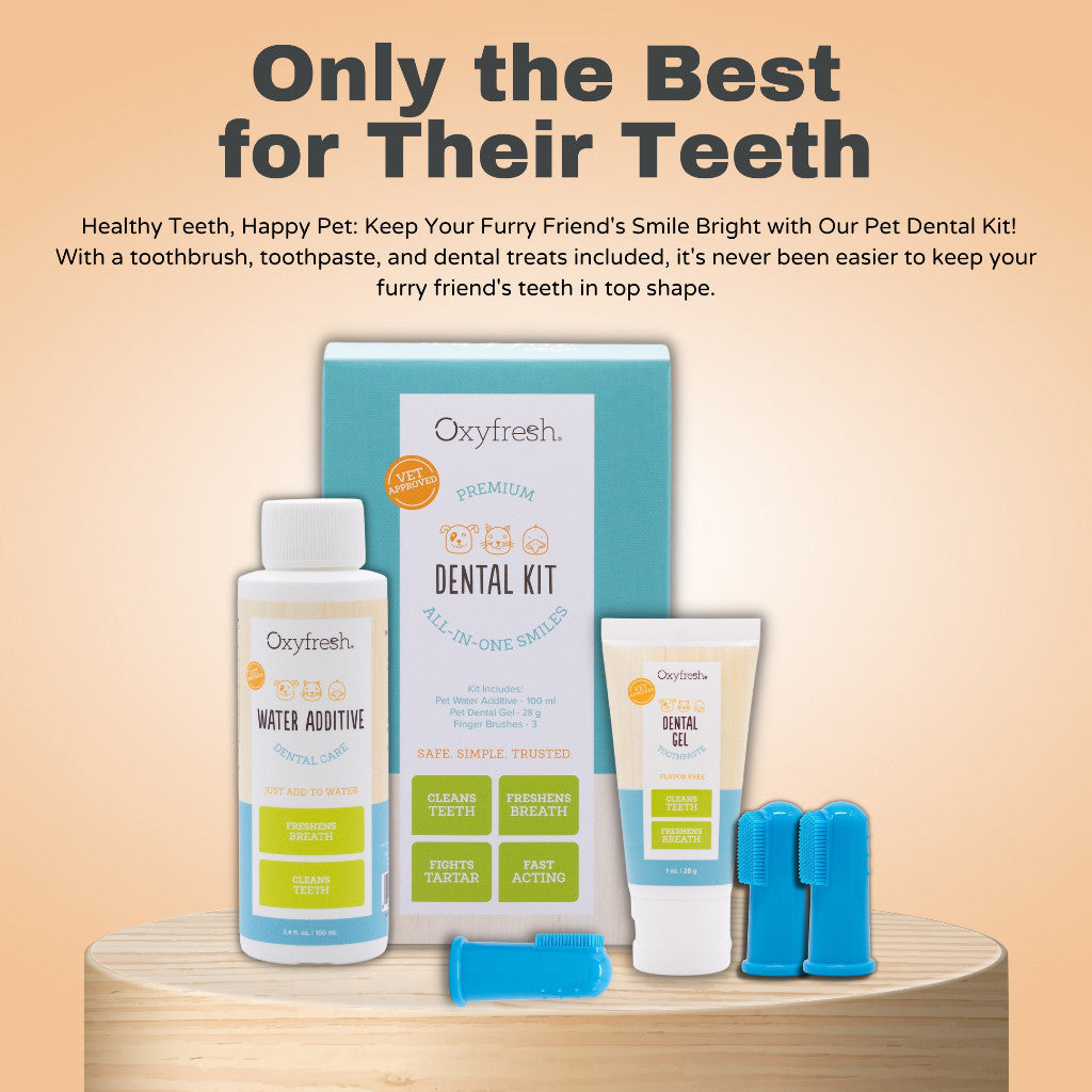 Oxyfresh Premium Pet Dental Kit for Dogs & Cats