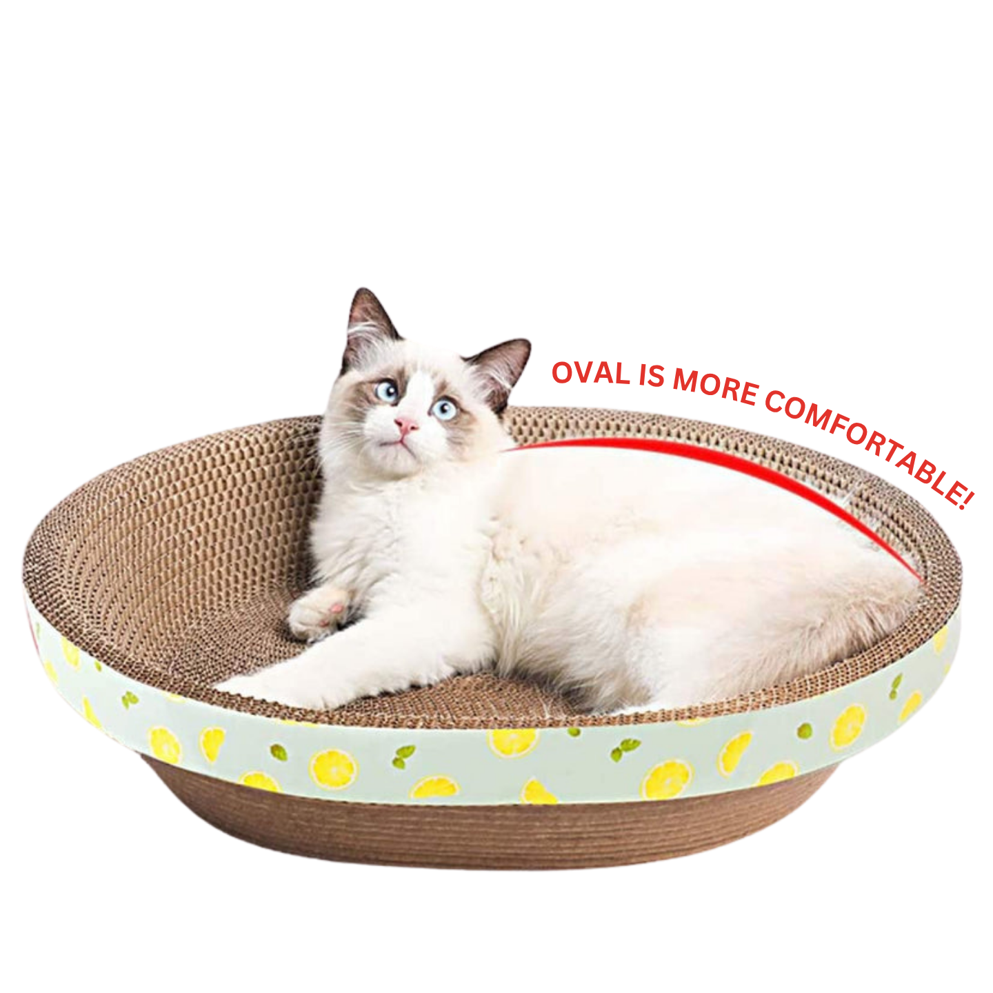 50cm Oval Shape Cat Scratching Board & Bowl Bed Pet Scratcher