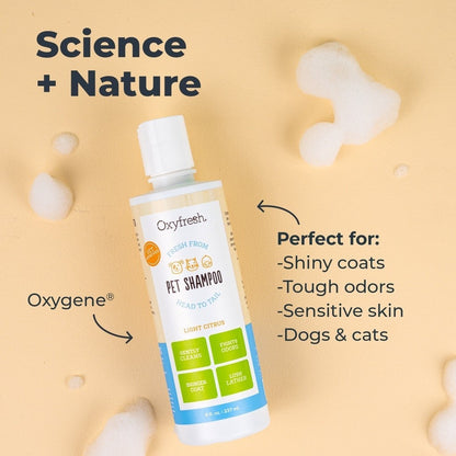 Oxyfresh Shiny Coat Anti-Itch Cats & Dogs Shampoo Gentle Formula Sensitive Skin 8oz / 237ml
