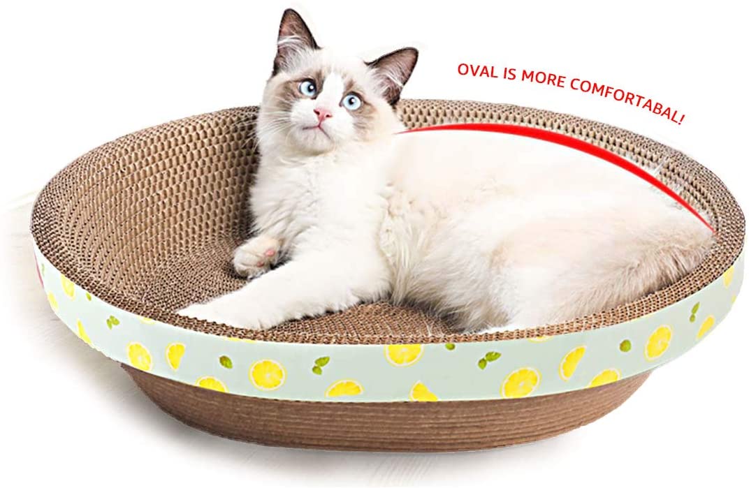 50cm Oval Shape Cat Scratching Board & Bowl Bed Pet Scratcher