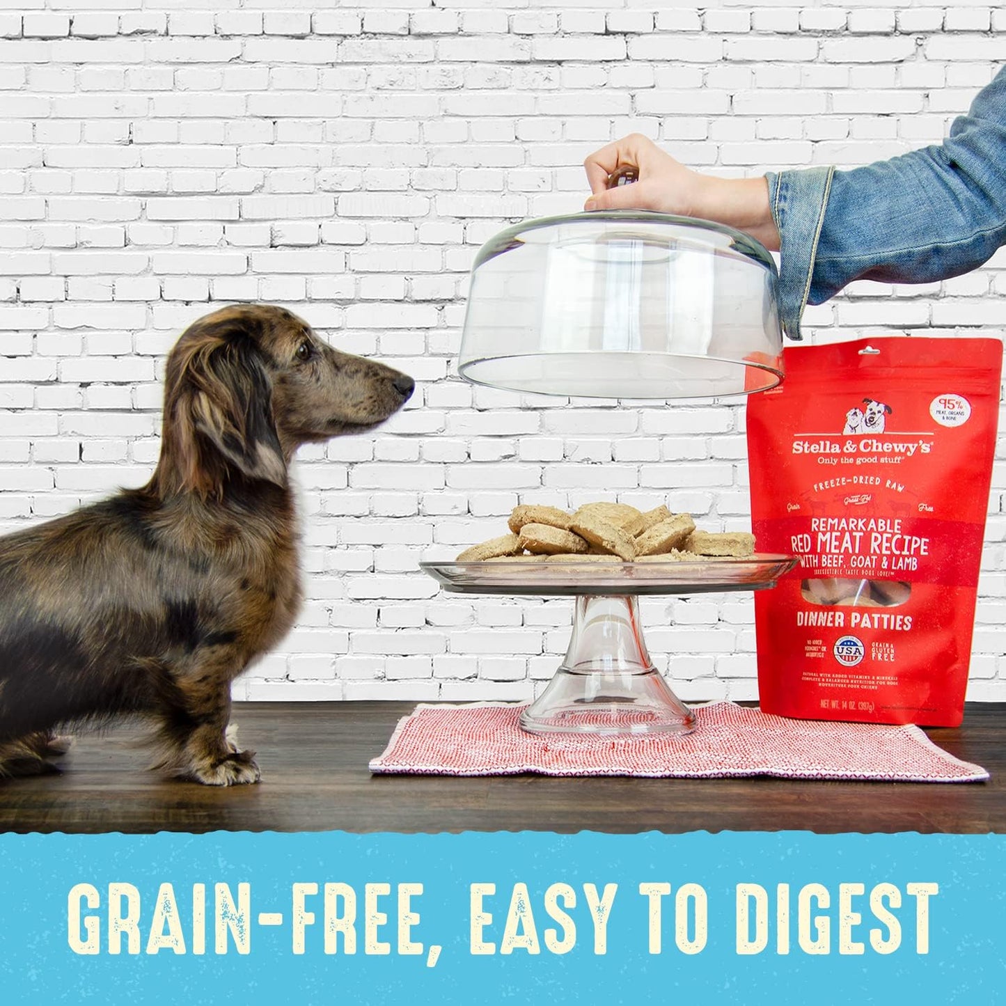 Stella & Chewy's Dog Freeze-Dried Dinner Patties Dandy Lamb 14oz