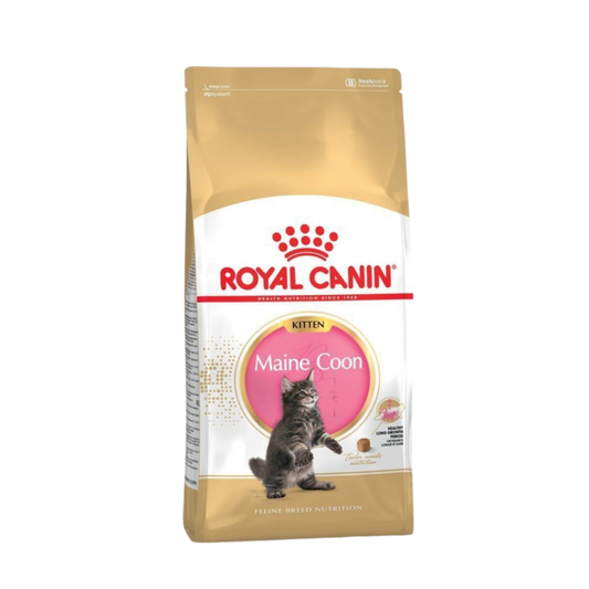 Royal Canin Maine Coon Kitten 2kg