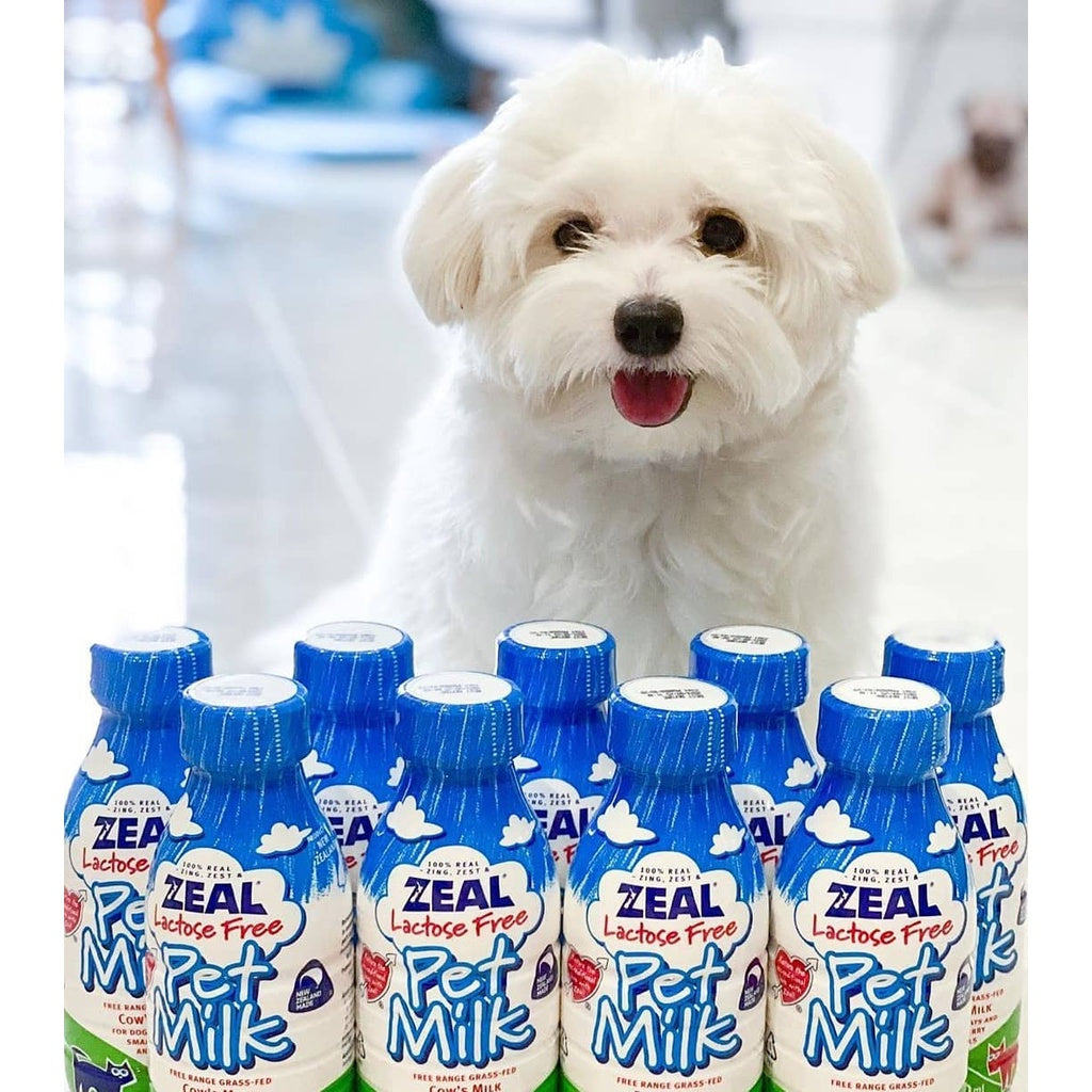 Zeal Lactose-Free Pet Milk 1L