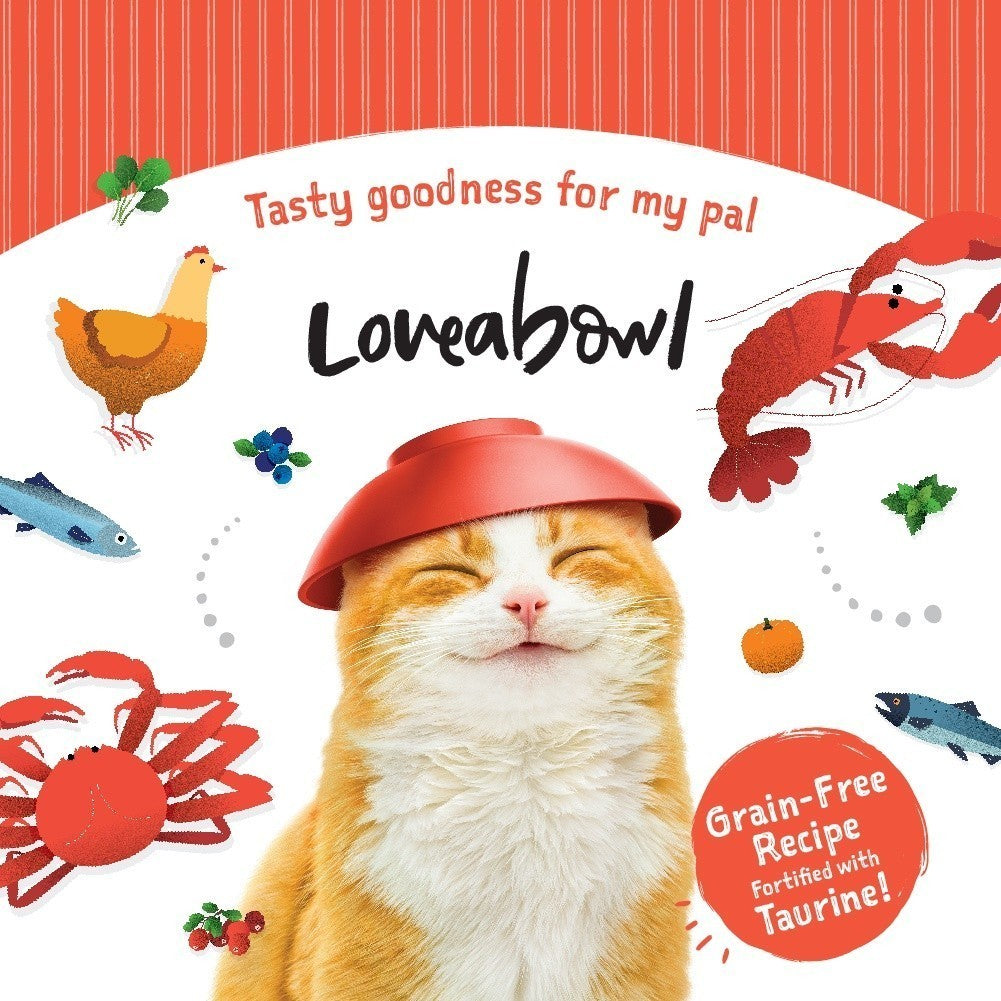 Loveabowl Grain-Free Salmon Dry Cat Food 1kg