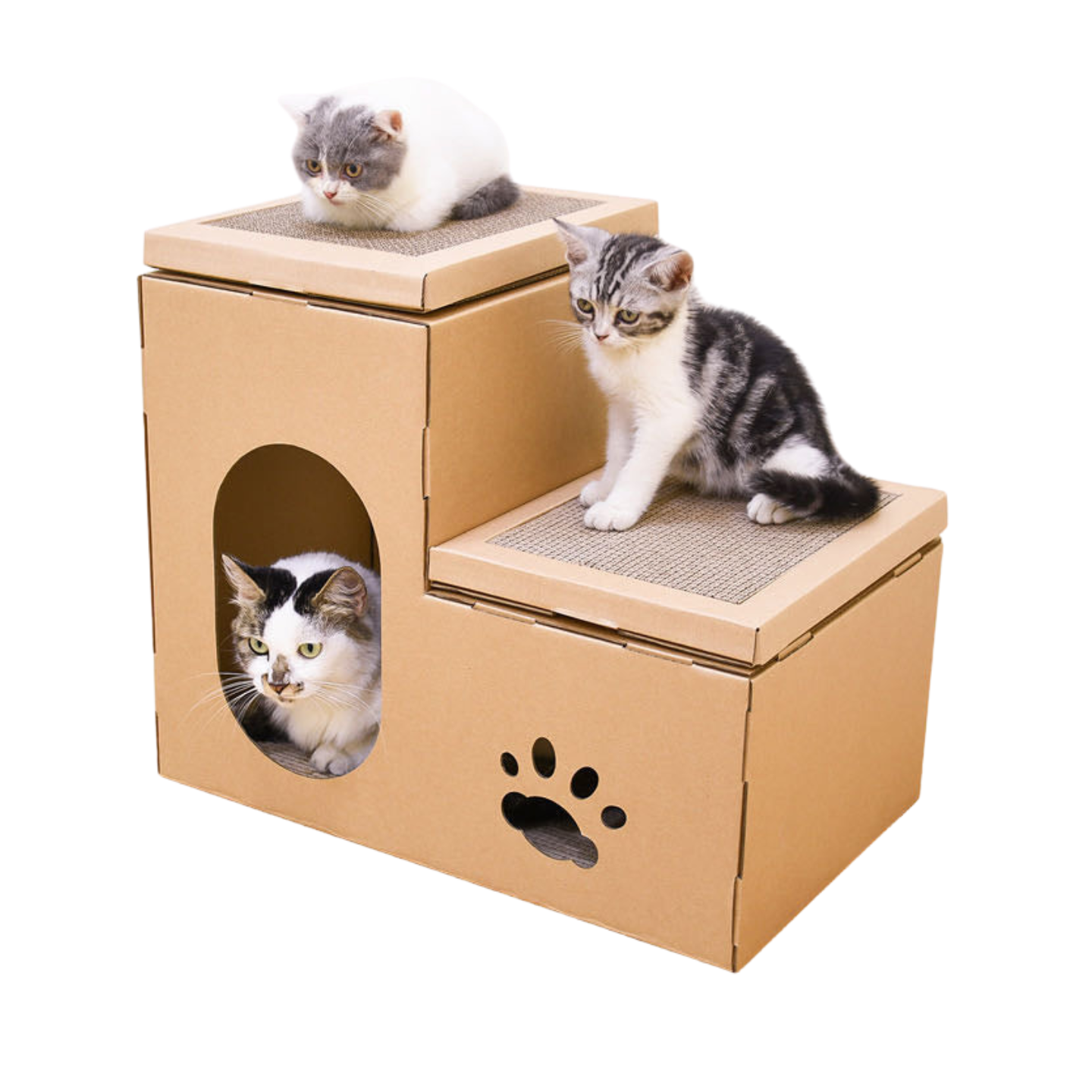 Cat Scratcher Cardboard Condo - Double House Scratching Post