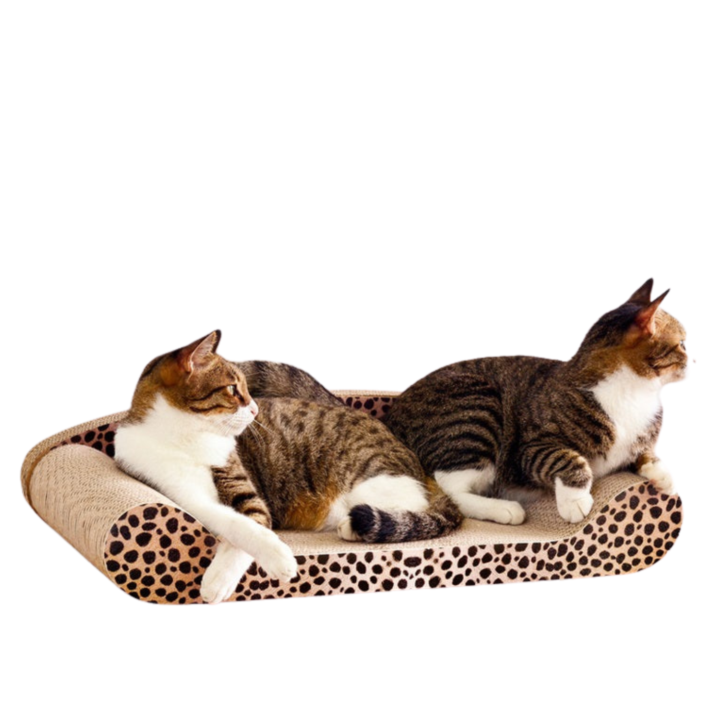 60cm Leopard Cat Scratch Board - Durable Recyclable Cardboard with Catnip