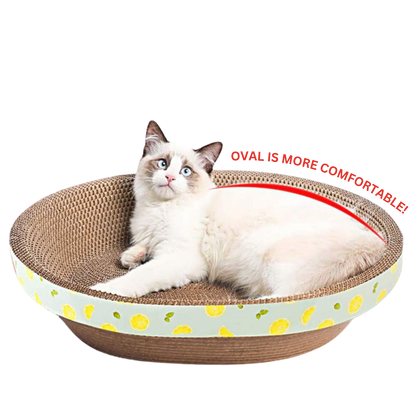 50cm Oval Shape Cat Scratching Board & Bowl Bed Pet Scratcher
