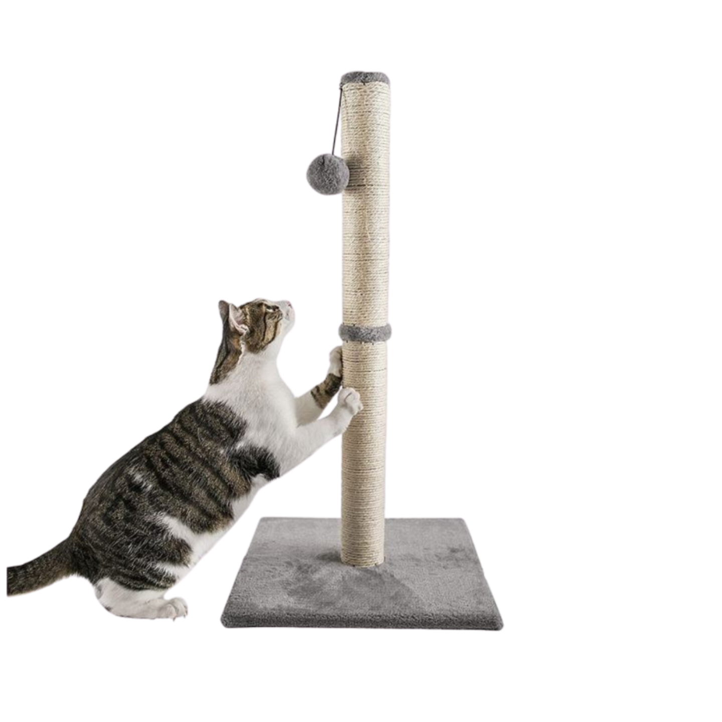 88cm Tall Cat Scratching Post / Pole (Light Grey)