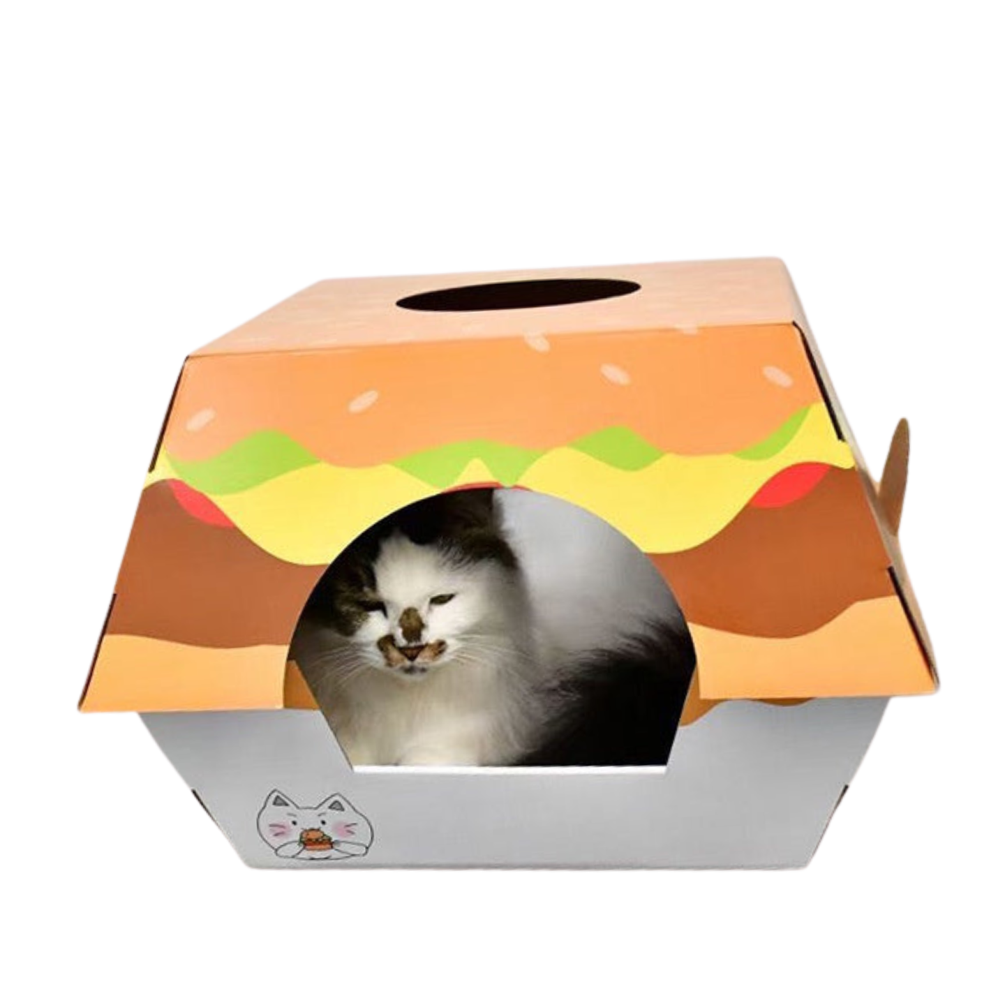 Hamburger Box Cat Bed & Scratch Board