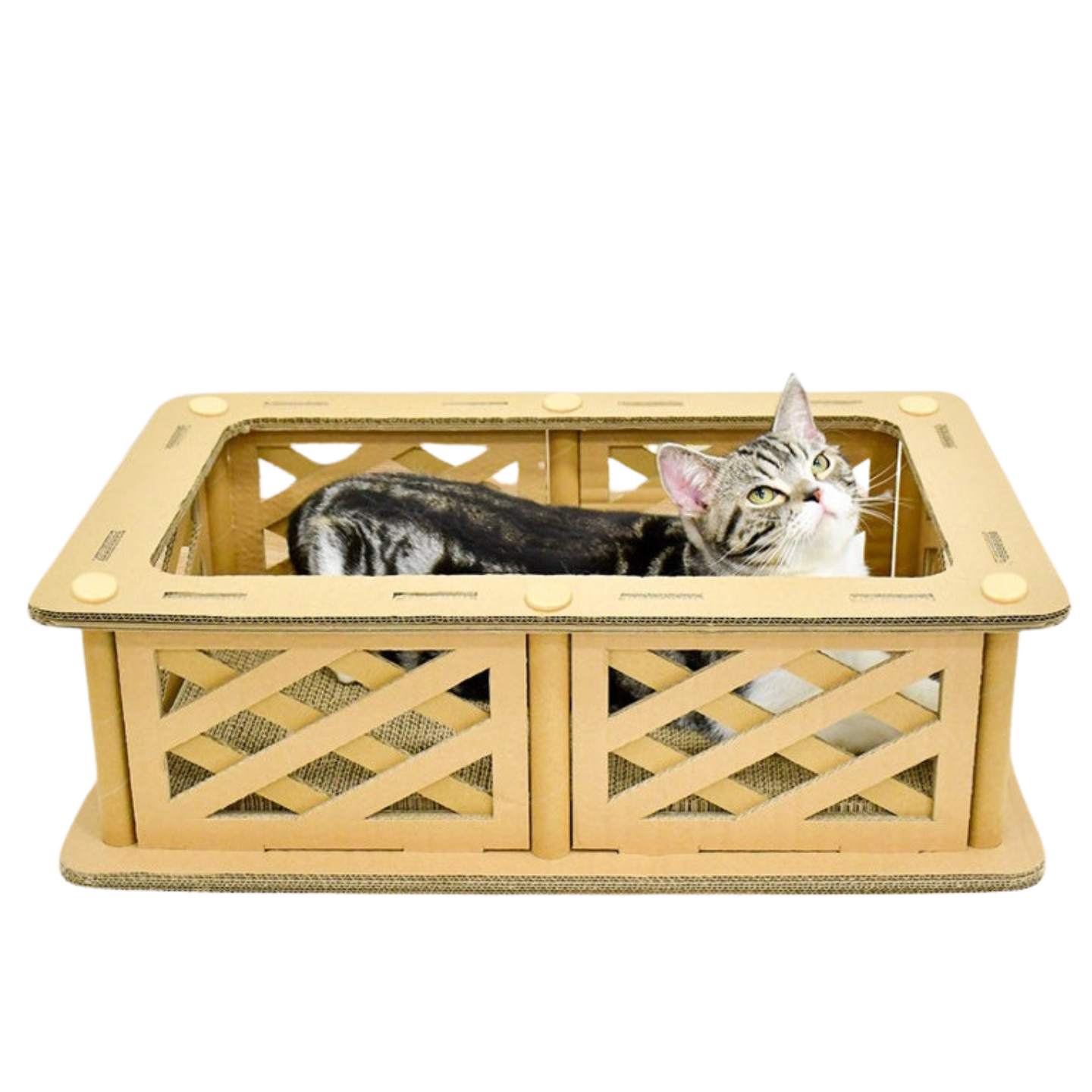 Rectangular Crate-Style Cat Scratcher & Relaxation Pad